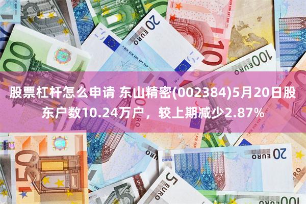 股票杠杆怎么申请 东山精密(002384)5月20日股东户数10.24万户，较上期减少2.87%