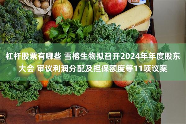 杠杆股票有哪些 雪榕生物拟召开2024年年度股东大会 审议利润分配及担保额度等11项议案