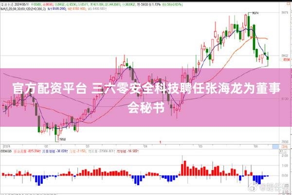 官方配资平台 三六零安全科技聘任张海龙为董事会秘书