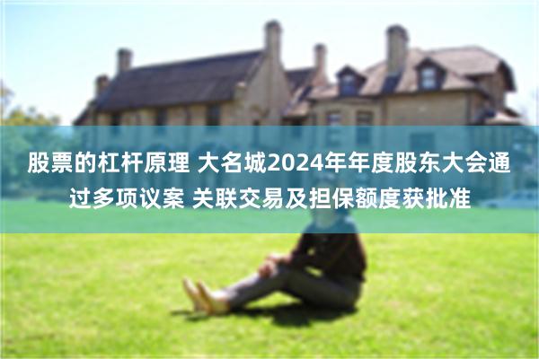 股票的杠杆原理 大名城2024年年度股东大会通过多项议案 关联交易及担保额度获批准