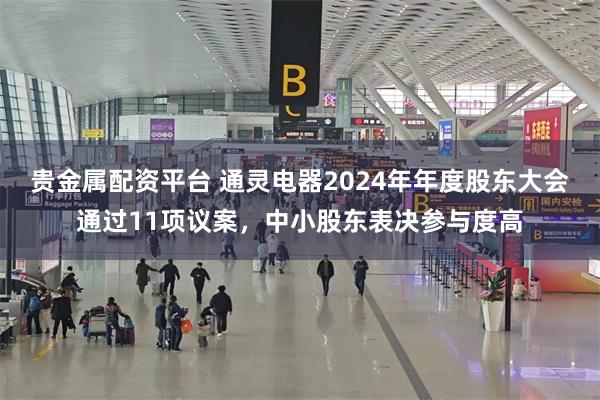 贵金属配资平台 通灵电器2024年年度股东大会通过11项议案，中小股东表决参与度高