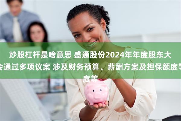 炒股杠杆是啥意思 盛通股份2024年年度股东大会通过多项议案 涉及财务预算、薪酬方案及担保额度等