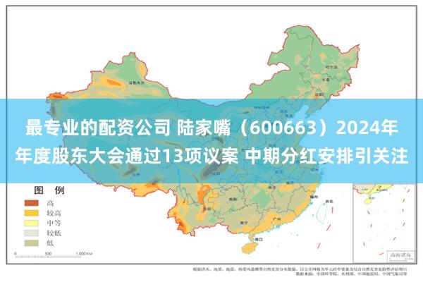 最专业的配资公司 陆家嘴（600663）2024年年度股东大会通过13项议案 中期分红安排引关注