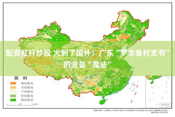 配资杠杆炒股 火到了国外！广东“罗非鱼村支书”的流量“魔法”