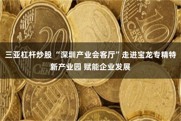 三亚杠杆炒股 “深圳产业会客厅”走进宝龙专精特新产业园 赋能企业发展