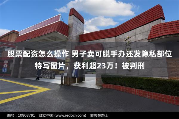 股票配资怎么操作 男子卖可脱手办还发隐私部位特写图片，获利超23万！被判刑