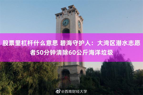 股票里杠杆什么意思 碧海守护人：大湾区潜水志愿者50分钟清除60公斤海洋垃圾