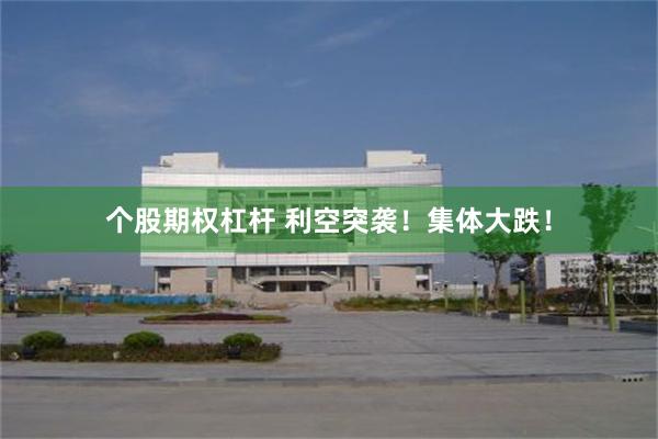 个股期权杠杆 利空突袭！集体大跌！