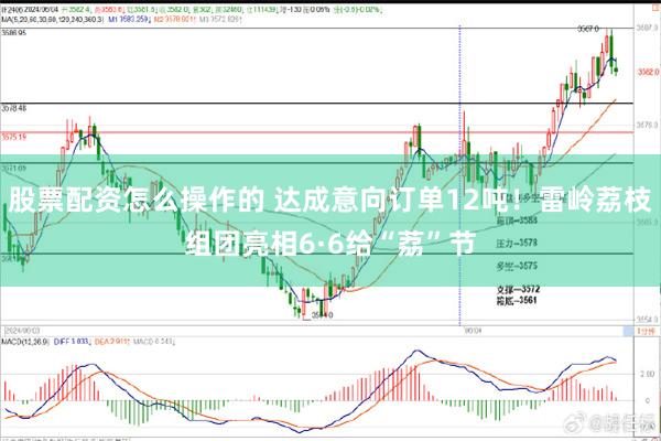 股票配资怎么操作的 达成意向订单12吨！雷岭荔枝组团亮相6·6给“荔”节