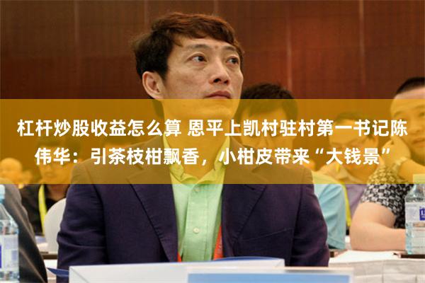 杠杆炒股收益怎么算 恩平上凯村驻村第一书记陈伟华：引茶枝柑飘香，小柑皮带来“大钱景”