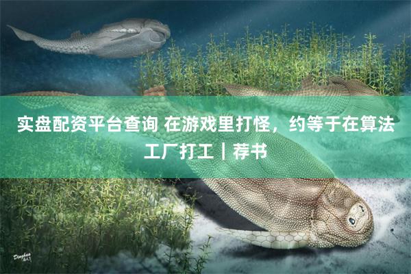 实盘配资平台查询 在游戏里打怪，约等于在算法工厂打工｜荐书