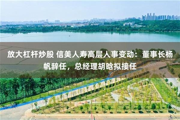 放大杠杆炒股 信美人寿高层人事变动：董事长杨帆辞任，总经理胡晗拟接任