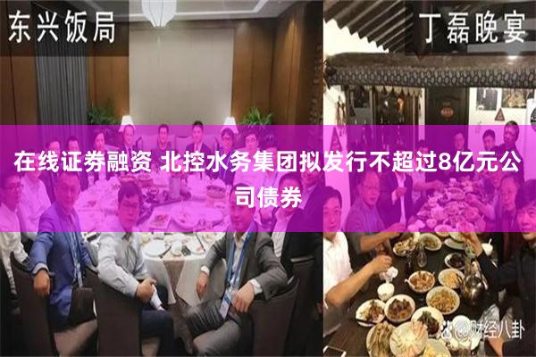 在线证劵融资 北控水务集团拟发行不超过8亿元公司债券
