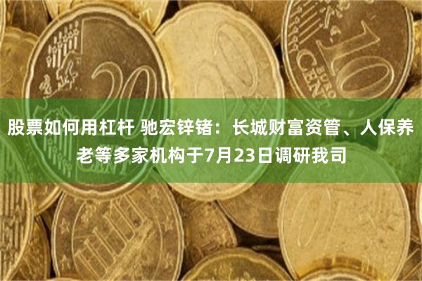 股票如何用杠杆 驰宏锌锗:长城财富资管、人保养老等多家机构于7月23日调研我司