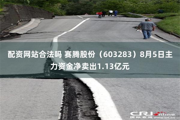 配资网站合法吗 赛腾股份（603283）8月5日主力资金净卖出1.13亿元