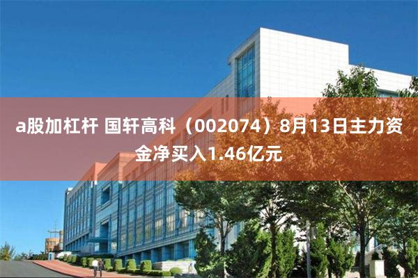 a股加杠杆 国轩高科（002074）8月13日主力资金净买入1.46亿元