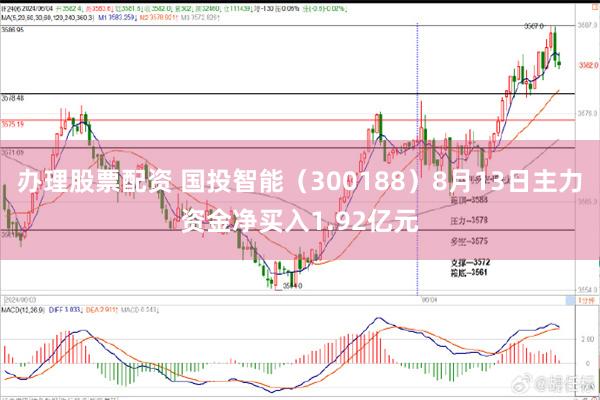 办理股票配资 国投智能(300188)8月13日主力资金净买入1.92亿元