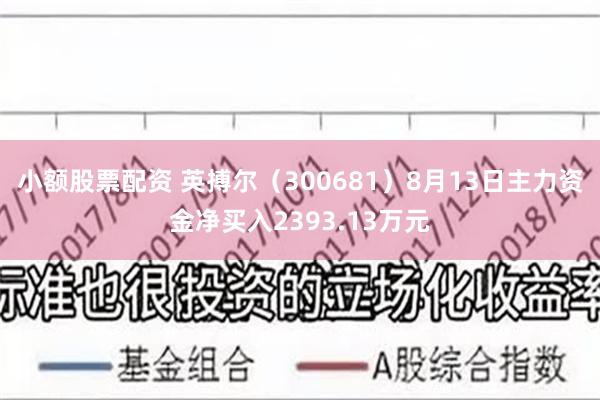 小额股票配资 英搏尔(300681)8月13日主力资金净买入2393.13万元