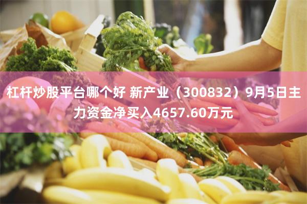 杠杆炒股平台哪个好 新产业（300832）9月5日主力资金净买入4657.60万元