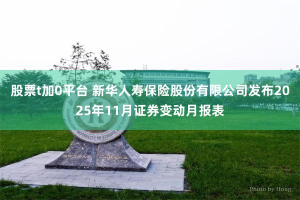 股票t加0平台 新华人寿保险股份有限公司发布2025年11月证券变动月报表