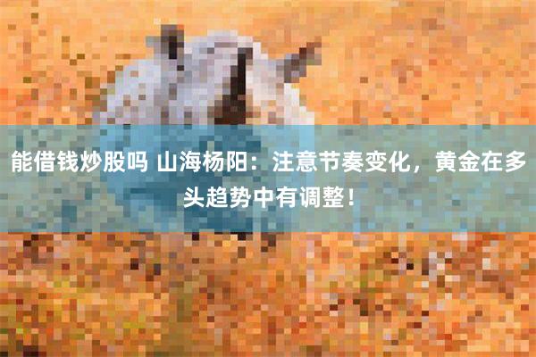 能借钱炒股吗 山海杨阳：注意节奏变化，黄金在多头趋势中有调整！