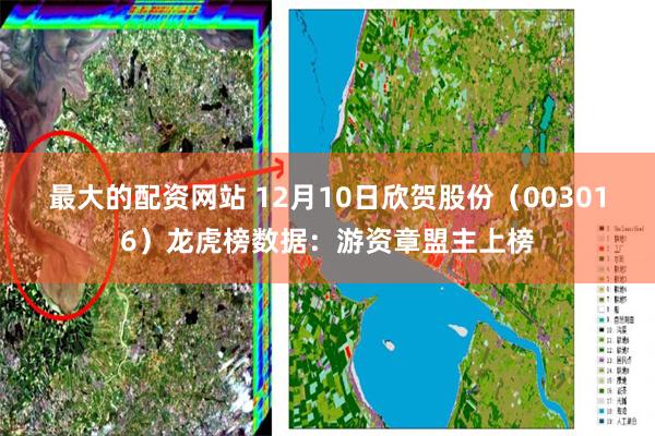 最大的配资网站 12月10日欣贺股份（003016）龙虎榜数据：游资章盟主上榜
