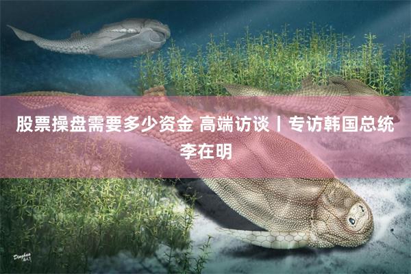 股票操盘需要多少资金 高端访谈丨专访韩国总统李在明