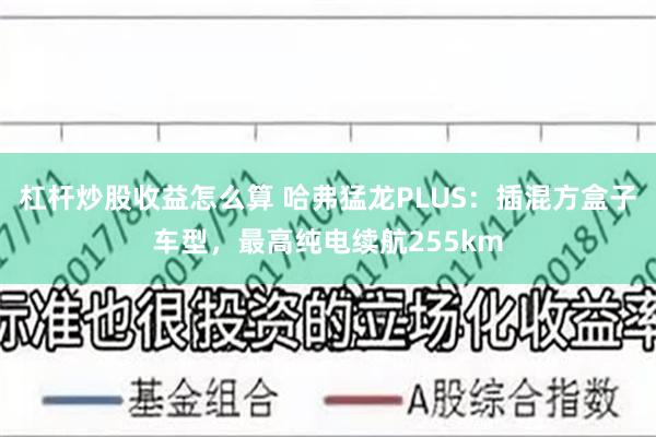 杠杆炒股收益怎么算 哈弗猛龙PLUS：插混方盒子车型，最高纯电续航255km