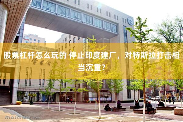股票杠杆怎么玩的 停止印度建厂，对特斯拉打击相当沉重？