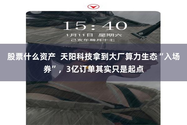 股票什么资产  天阳科技拿到大厂算力生态“入场券”，3亿订单其实只是起点