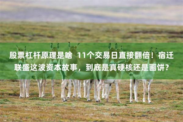 股票杠杆原理是啥 11个交易日直接翻倍!宿迁联盛这波资本故事,到底是真硬核还是画饼?