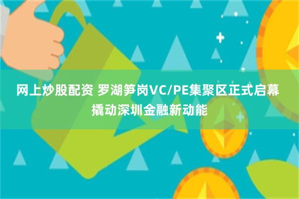 网上炒股配资 罗湖笋岗VC/PE集聚区正式启幕 撬动深圳金融新动能