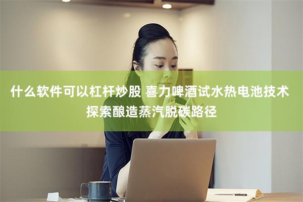 什么软件可以杠杆炒股 喜力啤酒试水热电池技术 探索酿造蒸汽脱碳路径