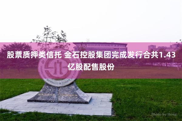 股票质押类信托 金石控股集团完成发行合共1.43亿股配售股份