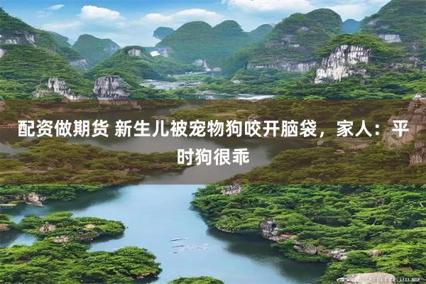 配资做期货 新生儿被宠物狗咬开脑袋,家人:平时狗很乖