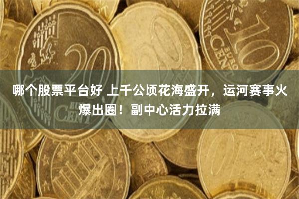哪个股票平台好 上千公顷花海盛开，运河赛事火爆出圈！副中心活力拉满