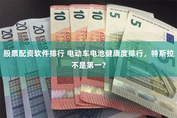 股票配资软件排行 电动车电池健康度排行,特斯拉不是第一?