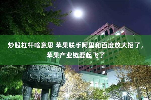 炒股杠杆啥意思 苹果联手阿里和百度放大招了,苹果产业链要起飞了