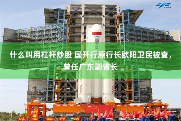 什么叫用杠杆炒股 国开行原行长欧阳卫民被查，曾任广东副省长