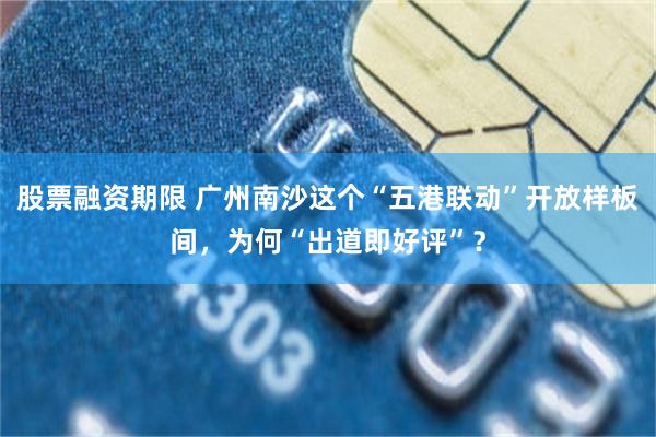 股票融资期限 广州南沙这个“五港联动”开放样板间，为何“出道即好评”？