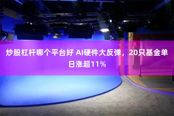 炒股杠杆哪个平台好 AI硬件大反弹，20只基金单日涨超11%