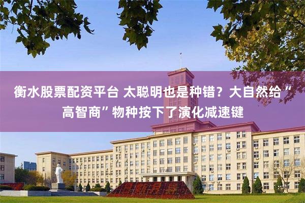 衡水股票配资平台 太聪明也是种错？大自然给“高智商”物种按下了演化减速键