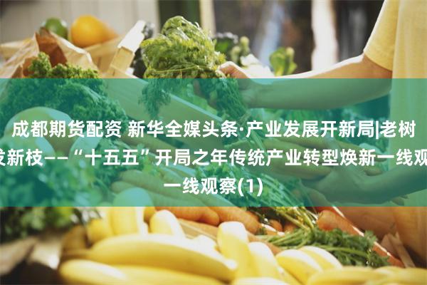 成都期货配资 新华全媒头条·产业发展开新局|老树何以发新枝——“十五五”开局之年传统产业转型焕新一线观察(1)