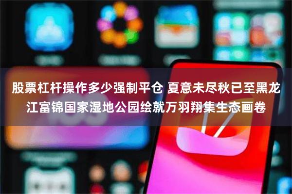 股票杠杆操作多少强制平仓 夏意未尽秋已至黑龙江富锦国家湿地公园绘就万羽翔集生态画卷