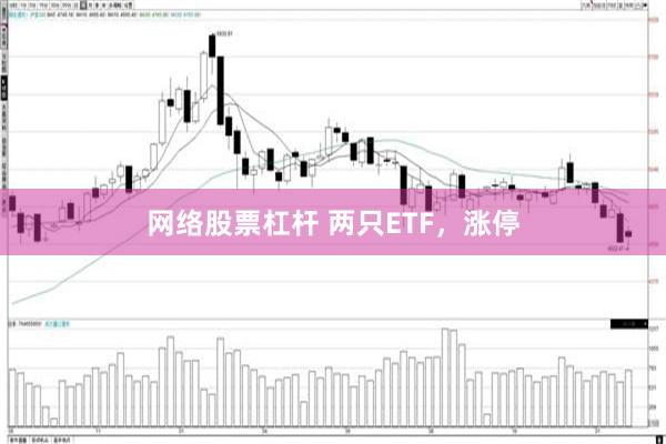 网络股票杠杆 两只ETF，涨停
