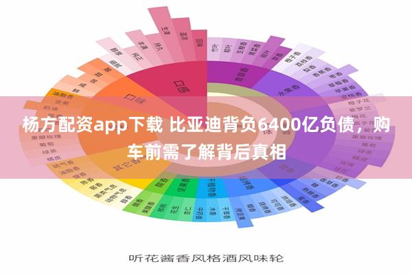 杨方配资app下载 比亚迪背负6400亿负债，购车前需了解背后真相
