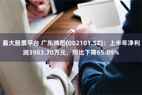 最大股票平台 广东鸿图(002101.SZ)：上半年净利润3983.70万元，同比下降65.09%