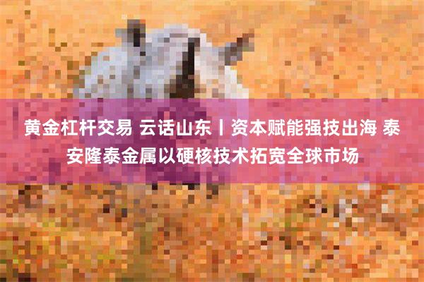黄金杠杆交易 云话山东丨资本赋能强技出海 泰安隆泰金属以硬核技术拓宽全球市场