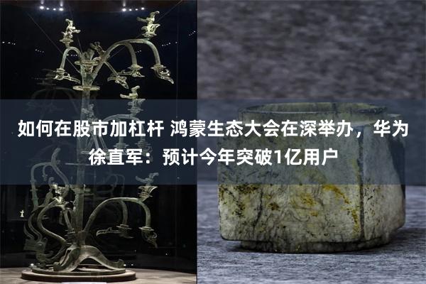 如何在股市加杠杆 鸿蒙生态大会在深举办，华为徐直军：预计今年突破1亿用户