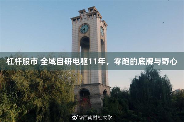 杠杆股市 全域自研电驱11年，零跑的底牌与野心